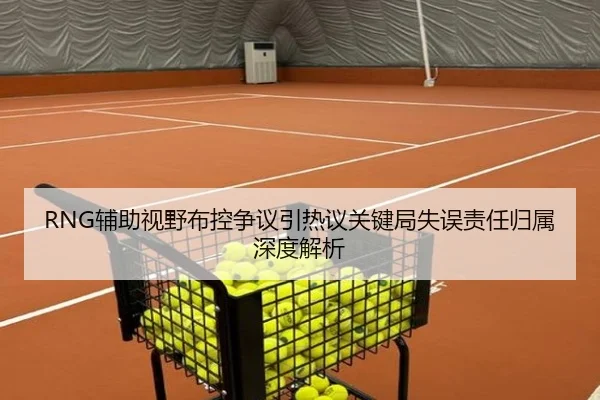 RNG辅助视野布控争议引热议关键局失误责任归属深度解析 - ob.comapp