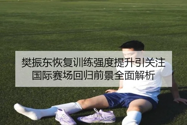 樊振东恢复训练强度提升引关注 国际赛场回归前景全面解析（ob.comapp）