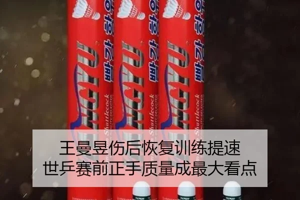 王曼昱伤后恢复训练提速 世乒赛前正手质量成最大看点 - ob.comapp
