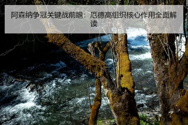 阿森纳争冠关键战前瞻：厄德高组织核心作用全面解读（ob.comapp）