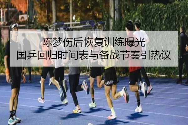 陈梦伤后恢复训练曝光 国乒回归时间表与备战节奏引热议（ob.comapp）