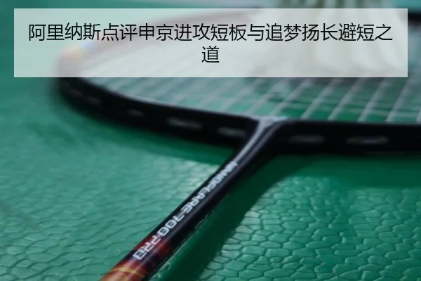 阿里纳斯点评申京进攻短板与追梦扬长避短之道 - ob.comapp
